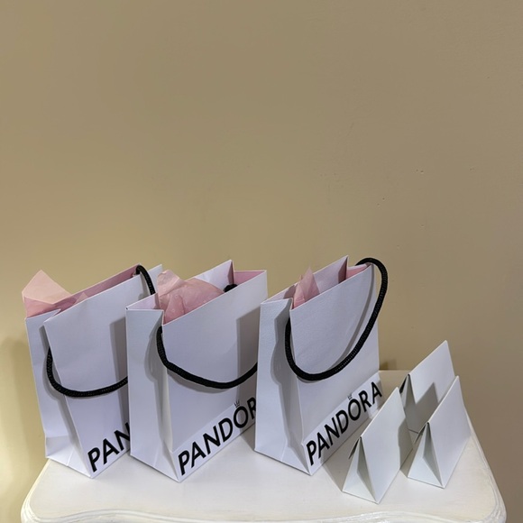 3 Pandora Gift Bags & 3 Pandora Gift Boxes - Picture 1 of 9